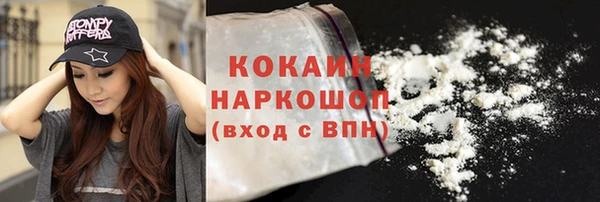 молекула духа Богданович