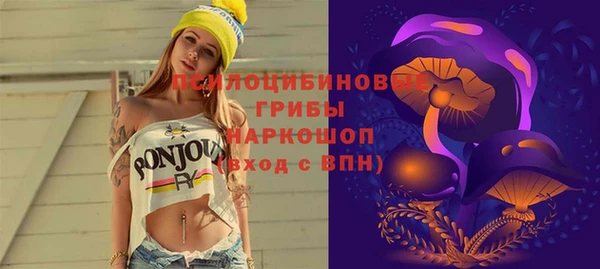 PSILOCYBIN Белокуриха