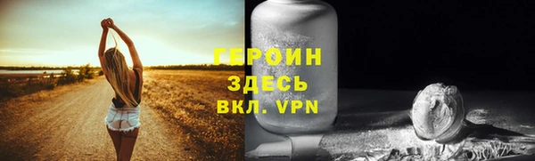 молекула духа Богданович