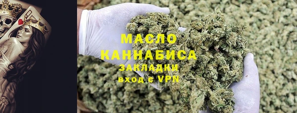 молекула духа Богданович