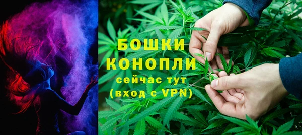 молекула духа Богданович