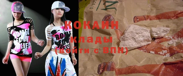 молекула духа Богданович
