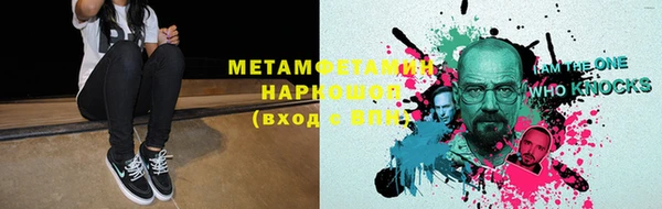 молекула духа Богданович