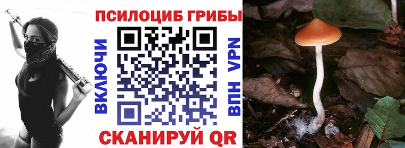 omg вход  Демидов  Галлюциногенные грибы мухоморы 