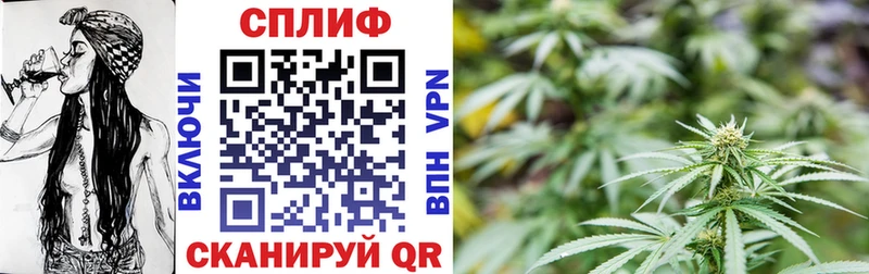 Шишки марихуана сатива  как найти закладки  Демидов 